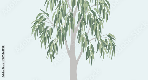 Eucalyptus tree illustration, a minimalist depiction of a leafy branch against a pale blue background