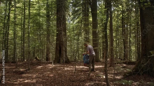 Two hikers prepare their camp in a dense forest. They set down their gear, explore their surroundings, and begin to relax under the tall trees of Bavarian Forest National Park.