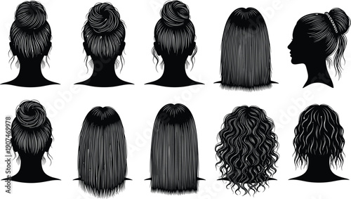 Vector collection of various female hairstyles, featuring messy buns, elegant updos, straight long hair, and curly textures for beauty salon branding