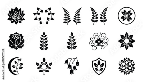 Set of fifteen fern branch floral outline icons on transparent background for print materials
