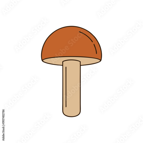 mushroom isolated on white background