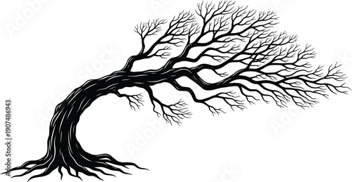 Hand Drawn Windswept Tree Silhouette with Gnarled Branches and Deep Roots Isolated on White Background for Nature Conservation Design and Zen Minimalist Landscape Concept