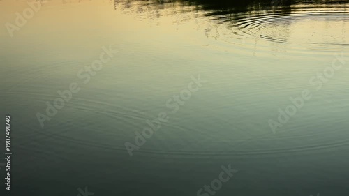Abstract gentle water ripples texture background with soft light