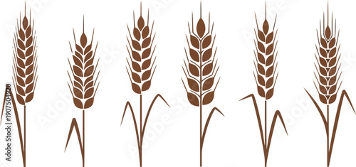 Stylized Brown Wheat Illustrations for Organic Farming and Natural Lifestyle Themes