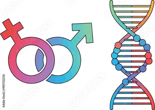 Gender Symbols and DNA Helix Illustrations for Medical and Educational Use