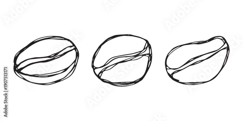 Set of hand drawn fresh roasted coffee bean Arabica robusta seed doodle Single element for design print packaging label decor