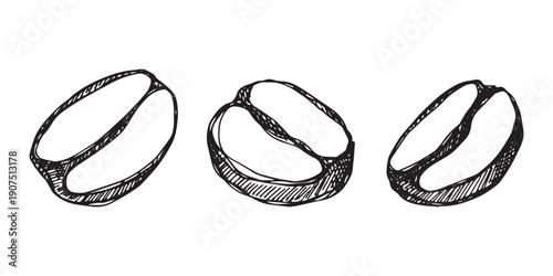 Set of hand drawn fresh roasted coffee bean Arabica robusta seed doodle Single element for design print packaging label decor