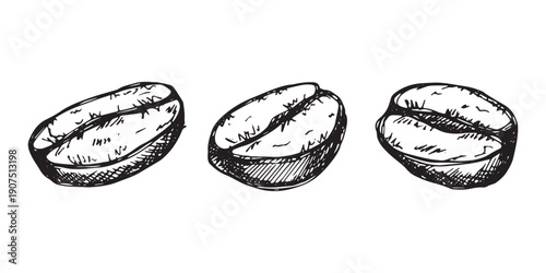 Set of hand drawn fresh roasted coffee bean Arabica robusta seed doodle Single element for design print packaging label decor
