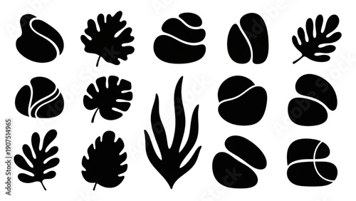 Abstract Organic Shapes and Botanical Elements Silhouette Collection