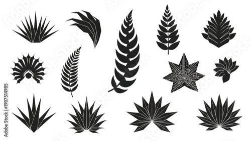 Black and white illustrations of various botanical leaf and plant shapes