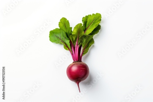 Beetroot vegetable radish plant.