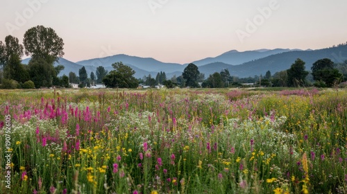 Wallpaper Mural Colorful Wildflower Field with Mountain Background During Sunset Torontodigital.ca