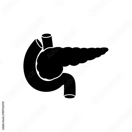 Human Pancreas and Duodenum Silhouette for Medical and Educational Use.