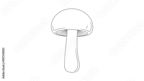 Drawing of a Mushroom 1.