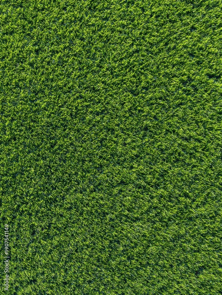 Obraz premium Lush Green Turf Texture Background for Sports Field Branding and Garden Landscaping Advertisements, Natural Short Grass Meadow Pattern in Even Daylight