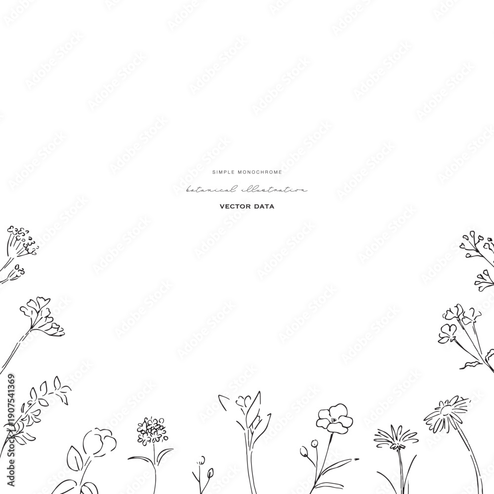 Fototapeta premium 植物の線画イラスト。植物のベクターイラスト背景。葉っぱと花の背景フレーム。 Botanical line art illustration. Botanical vector illustration background. Leaves and flowers background frame.