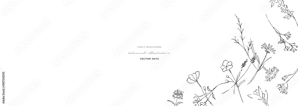 Fototapeta premium 植物の線画イラスト。植物のベクターイラスト背景。葉っぱと花の背景フレーム。 Botanical line art illustration. Botanical vector illustration background. Leaves and flowers background frame.