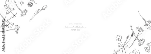 植物の線画イラスト。植物のベクターイラスト背景。葉っぱと花の背景フレーム。
Botanical line art illustration. Botanical vector illustration background. Leaves and flowers background frame.