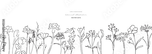 植物の線画イラスト。植物のベクターイラスト背景。葉っぱと花の背景フレーム。
Botanical line art illustration. Botanical vector illustration background. Leaves and flowers background frame.