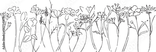 植物の線画イラスト。植物のベクターイラスト背景。葉っぱと花の背景フレーム。
Botanical line art illustration. Botanical vector illustration background. Leaves and flowers background frame.