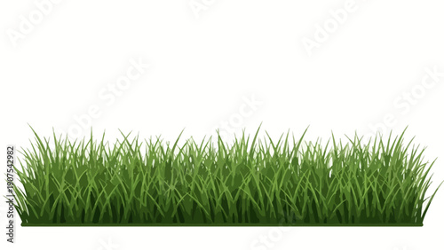 Green Grass Lawn Texture 1.