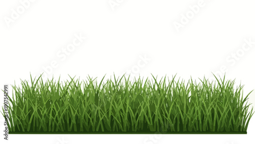 Green Grass Lawn Texture 2.