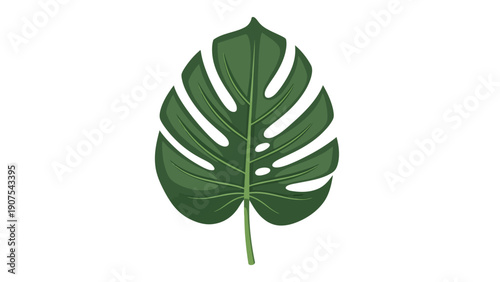 Monstera leaf green tropical 1.