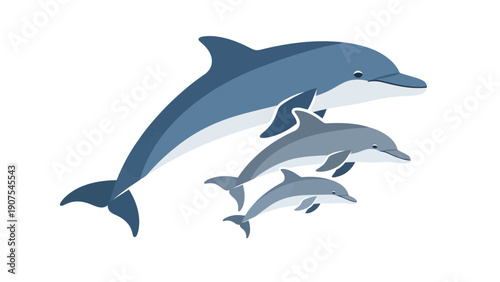 Three blue and white dolphins varying sizes swim on a white background