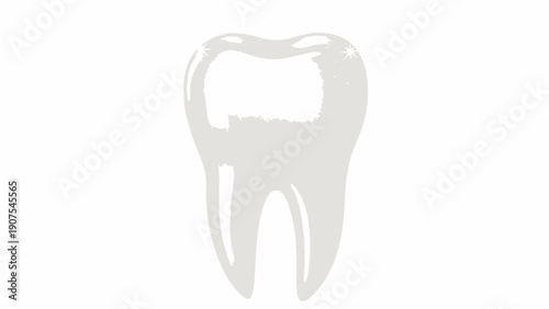 Tooth Dental Anatomy Model 1.