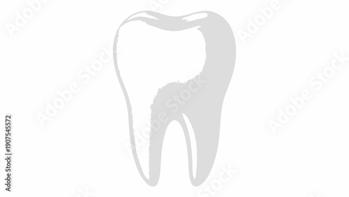 Tooth Dental Anatomy Illustration.