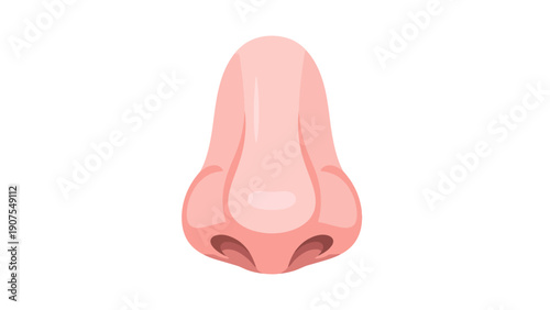Front view illustration of a simplified pink human nose on a white background