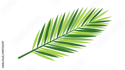 Illustration of a stylized segmented palm frond with varying shades of green leaves