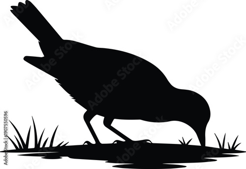 Minimalist black bird pecking the ground natural behavior silhouette vector icon