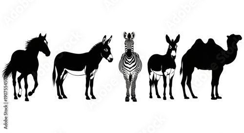 Diverse group of animal silhouettes on white background.