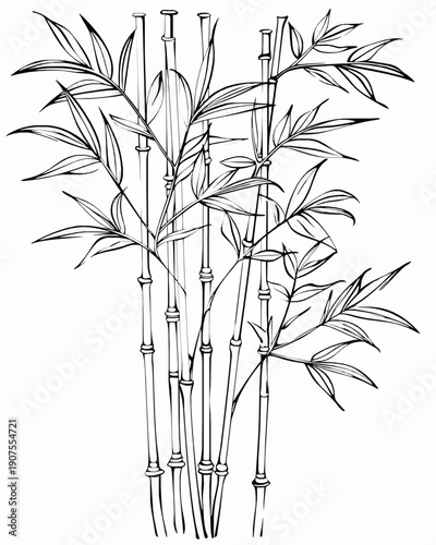 Elegant Bamboo Stalks and Leaves Coloring Page