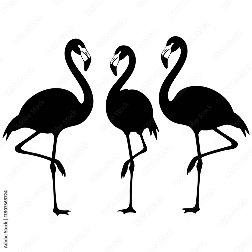 Obraz premium Majestic Flamingo Silhouette Vector Set - Tropical Wading Bird Icons