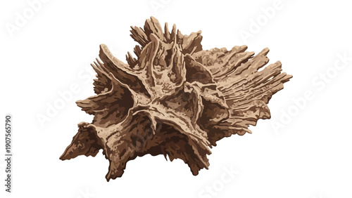 Brown Seaweed Closeup View.