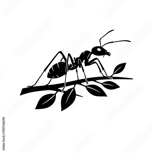 Set of black ants isolated on a white background showing small insects in close-up detail