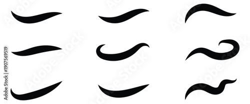Decorative curved shape vector Swoosh tails or swashes elements for test style, sports or brand logo and digital design. Vector illustration.