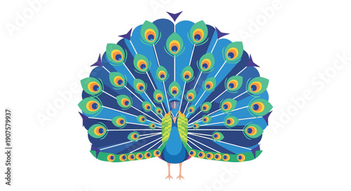 Stylized illustration of a peacock displaying its vibrant colorful plumage