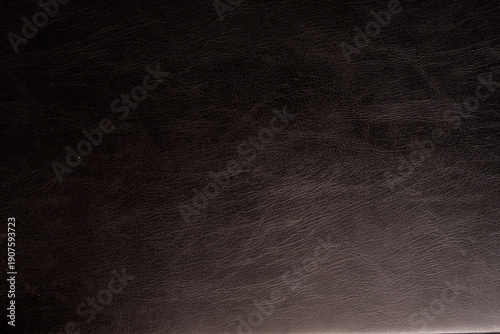 Close-up of a dark brown le...