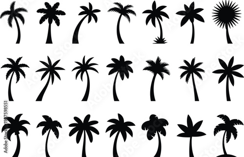 Collection of diverse black silhouette palm trees on white background tropical nature