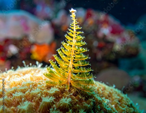 Wallpaper Mural Close-up of a vibrant yellow feather duster worm atop a coral formation, showcasing intricate underwater life Torontodigital.ca