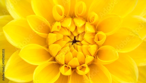 Wallpaper Mural Close-up of a vibrant yellow flower with overlapping petals, revealing the intricate center details. The focus is on the beauty Torontodigital.ca