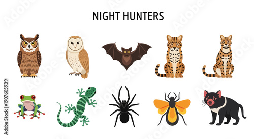 Illustration of ten nocturnal predatory animals arranged in two rows