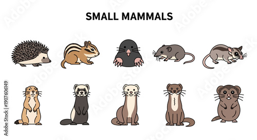 Row of ten small mammal illustrations including a hedgehog chipmunk mole and weasel