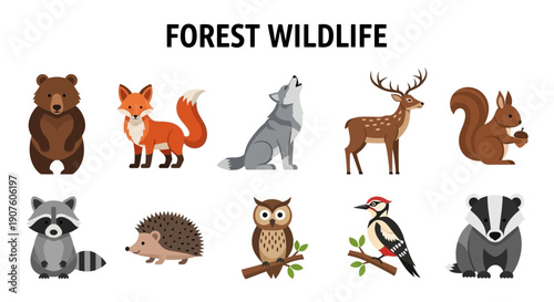 Ten cartoon forest wildlife animals illustrated in two rows against a white background