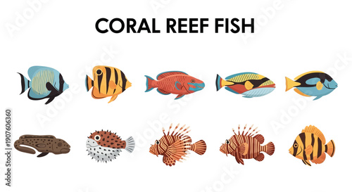 Ten colorful illustrations of various coral reef fish against a white background