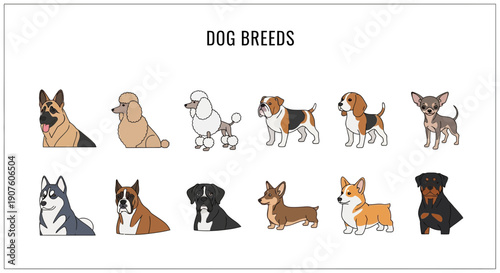 Ten dog breeds illustrated in two rows with DOG BREEDS title