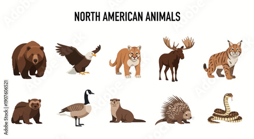 Ten flat vector illustrations of North American animals on white